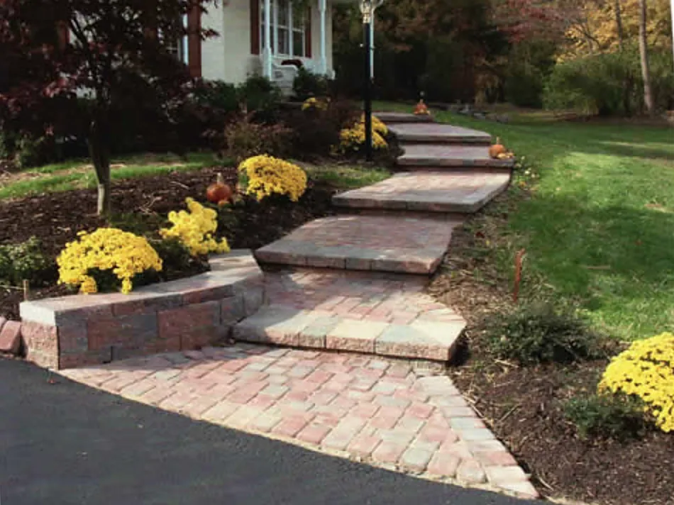 Paver steps climbing from the driveway past a curved seat wall and fall mums